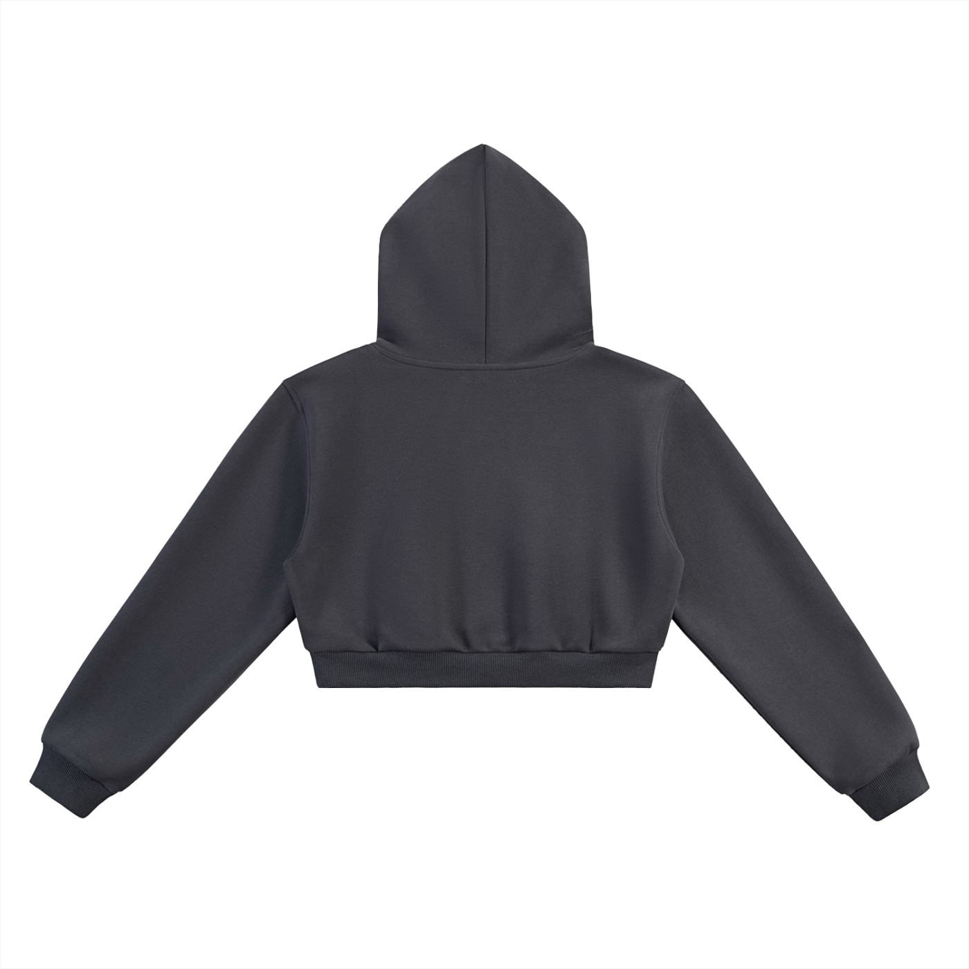 siniGang logo Cropped Hoodie