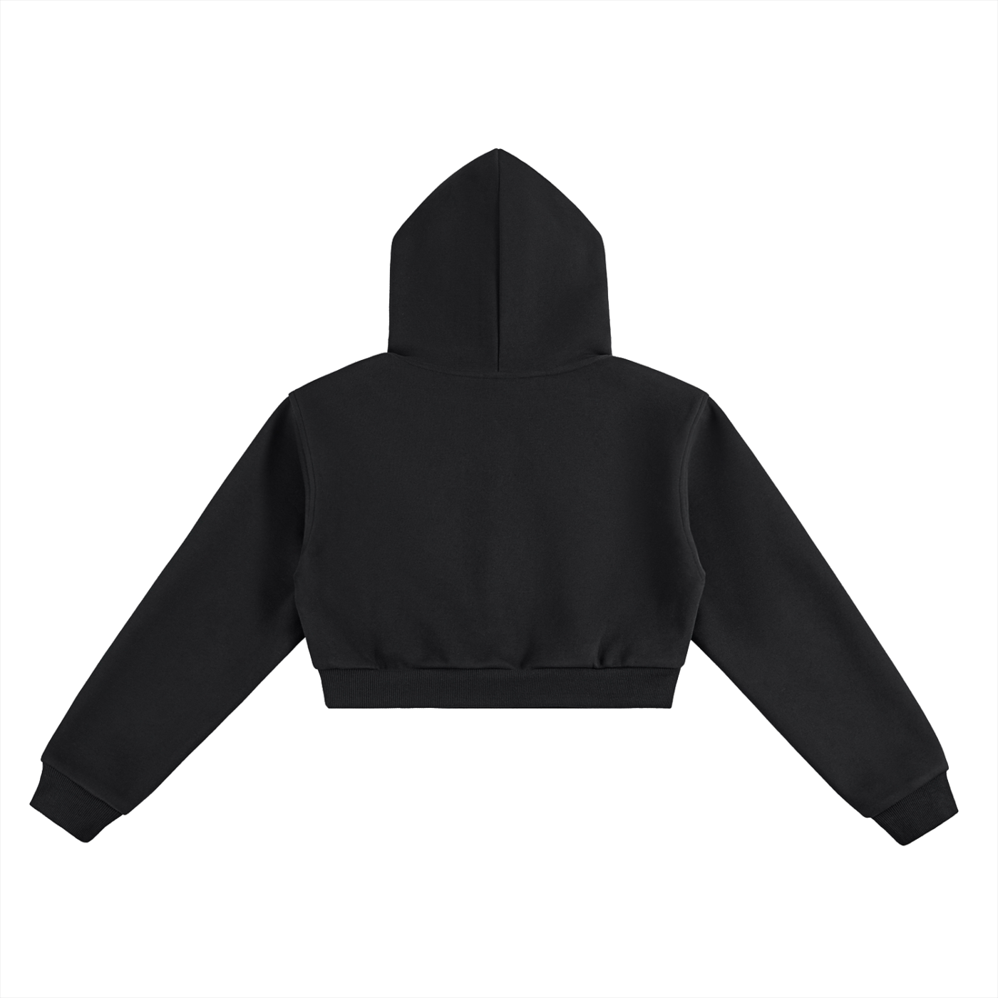 siniGang logo Cropped Hoodie