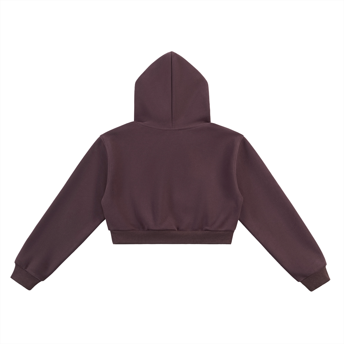 siniGang logo Cropped Hoodie